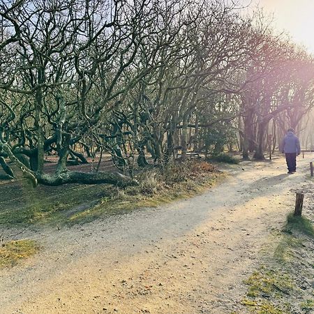 אוסטקאפלה Beach & Forest Retreat -Domburg- מראה חיצוני תמונה