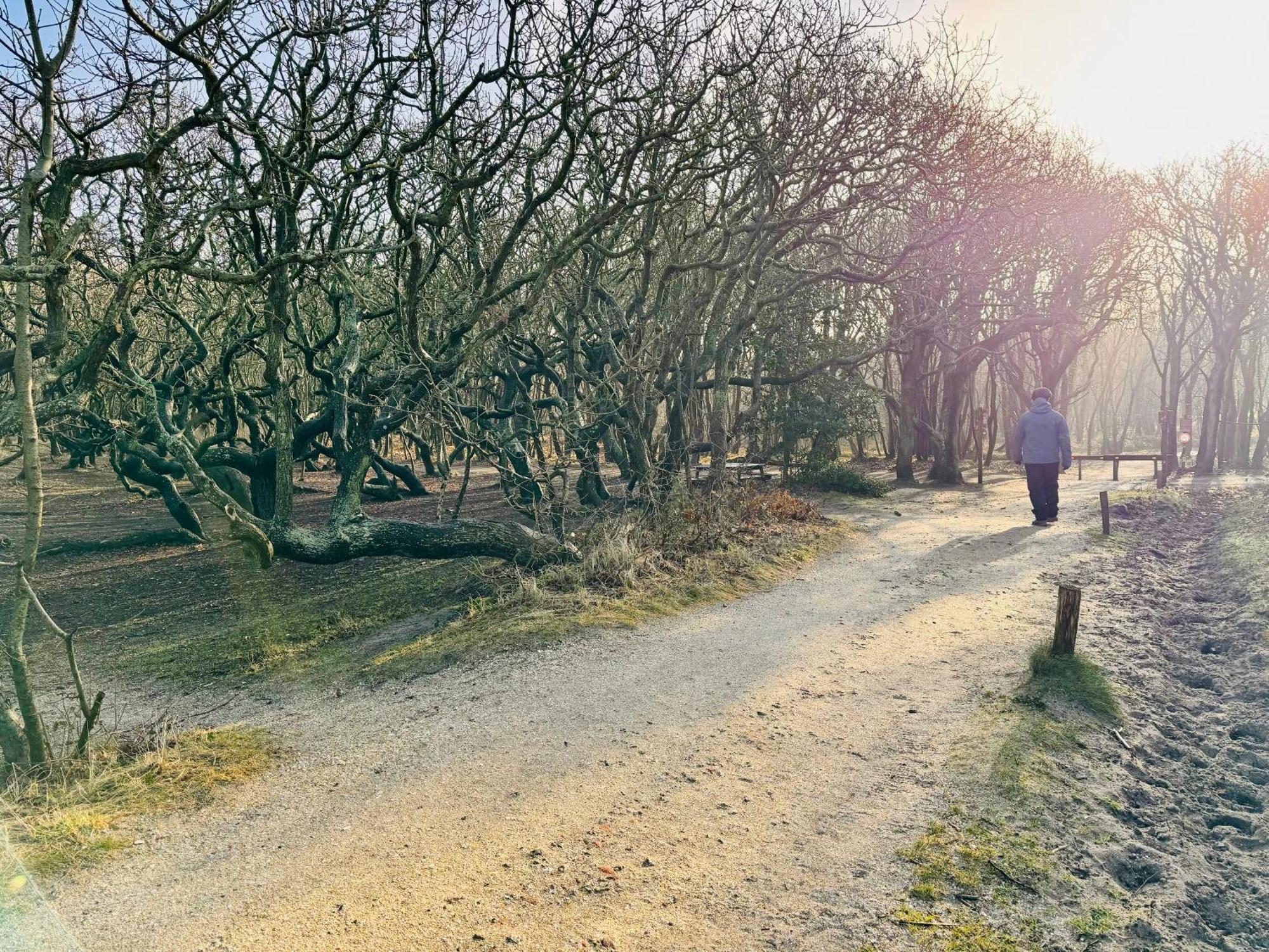 אוסטקאפלה Beach & Forest Retreat -Domburg- מראה חיצוני תמונה