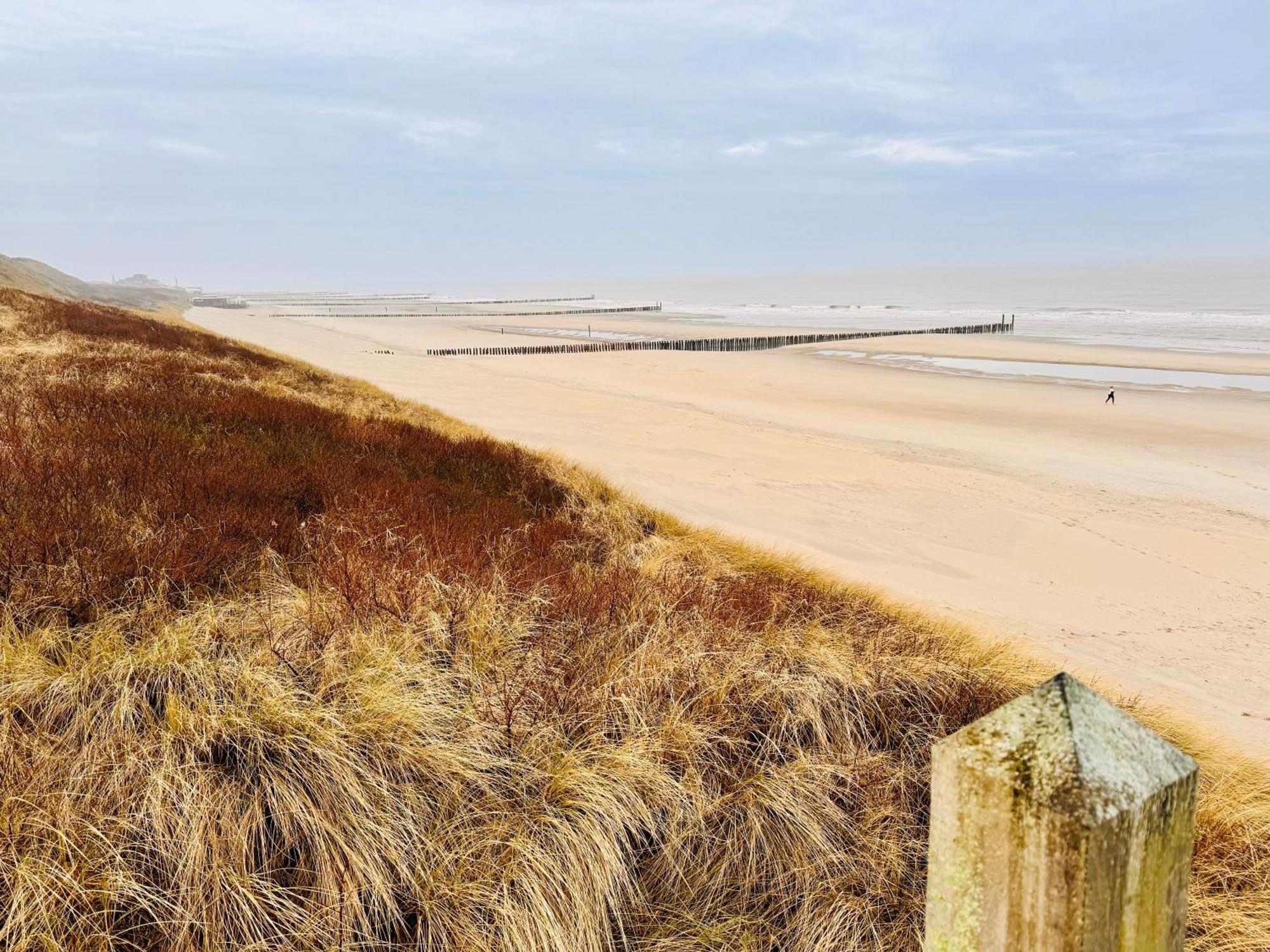 אוסטקאפלה Beach & Forest Retreat -Domburg- מראה חיצוני תמונה