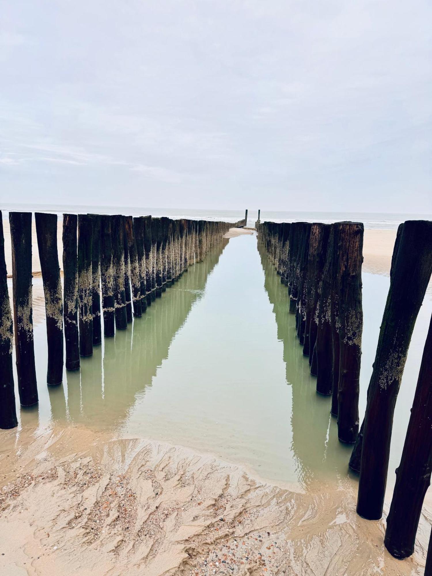 אוסטקאפלה Beach & Forest Retreat -Domburg- מראה חיצוני תמונה
