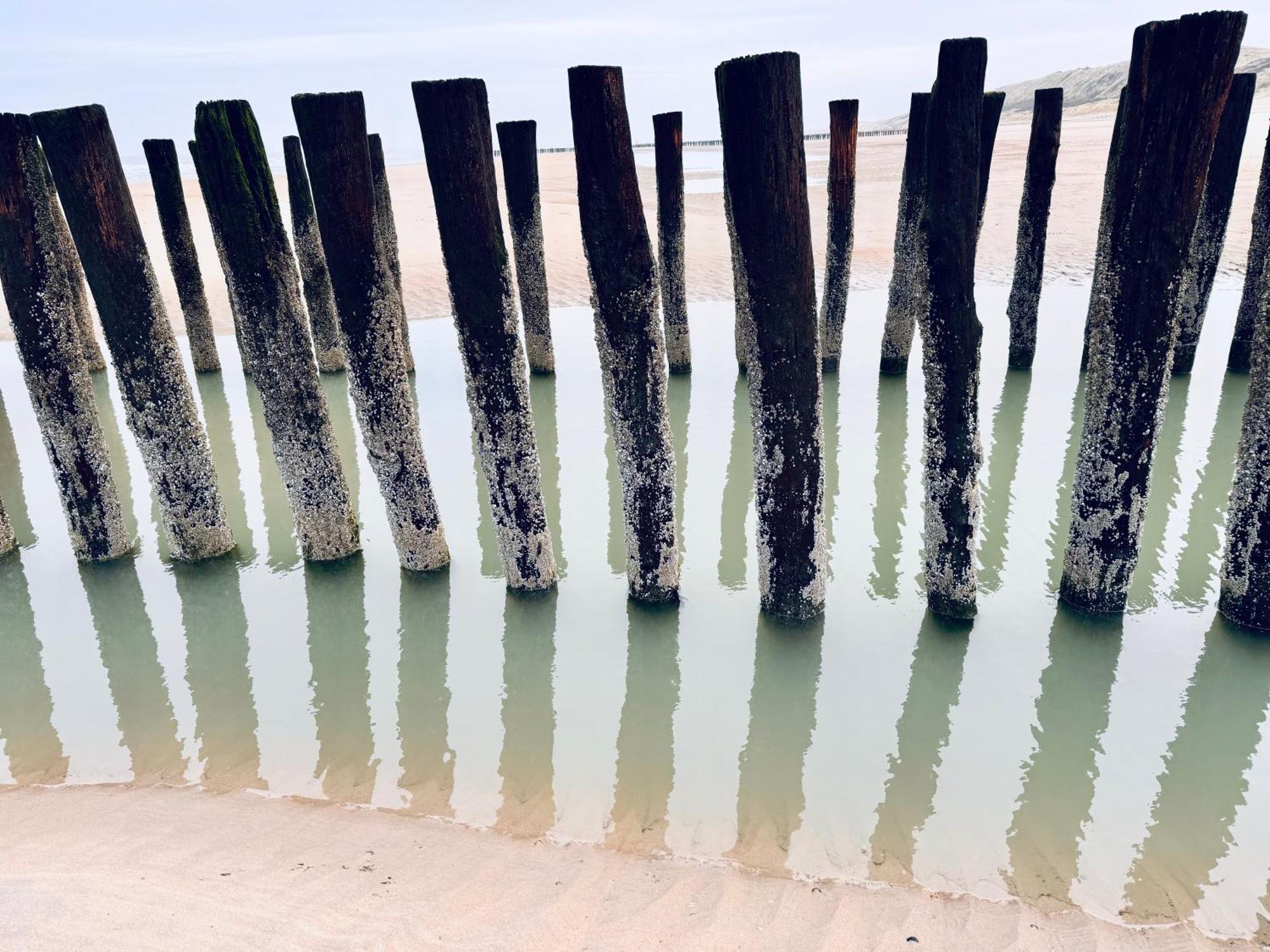 אוסטקאפלה Beach & Forest Retreat -Domburg- מראה חיצוני תמונה