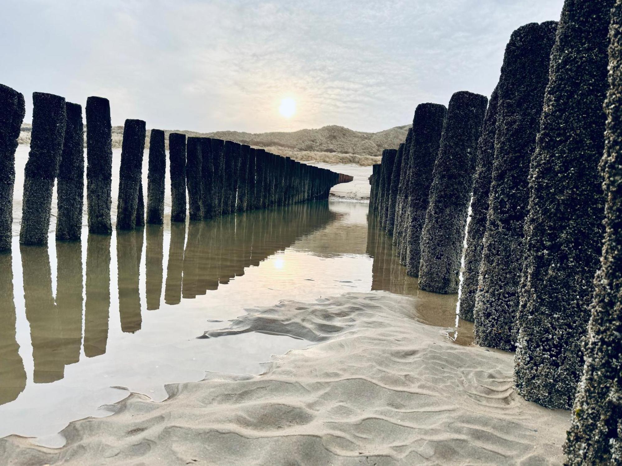 אוסטקאפלה Beach & Forest Retreat -Domburg- מראה חיצוני תמונה