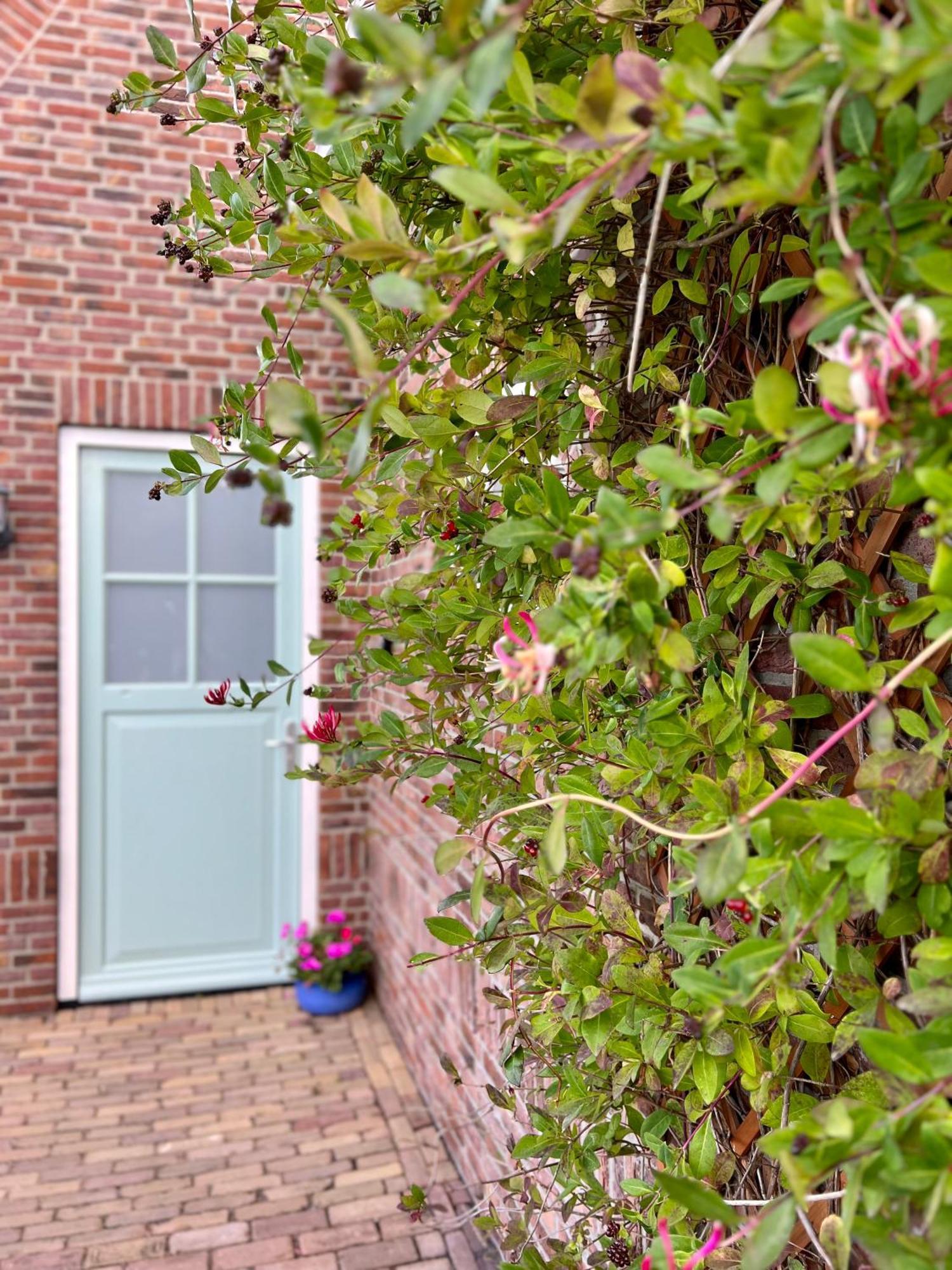 אוסטקאפלה Beach & Forest Retreat -Domburg- מראה חיצוני תמונה